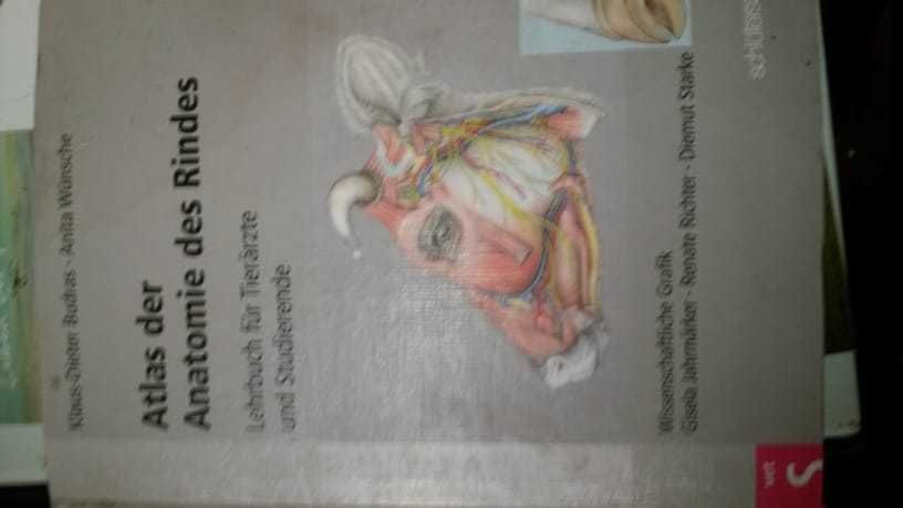 Sprzedam Atlas Anatomii bydla. Budras