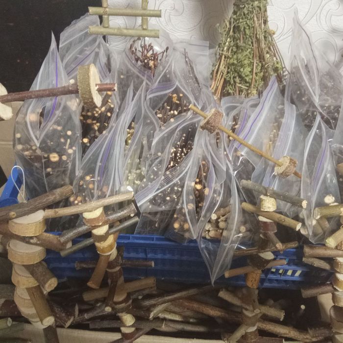 Домашним питомцам