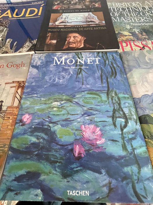 Conjunto de vários livros de arte, literatura, pintura e escultura