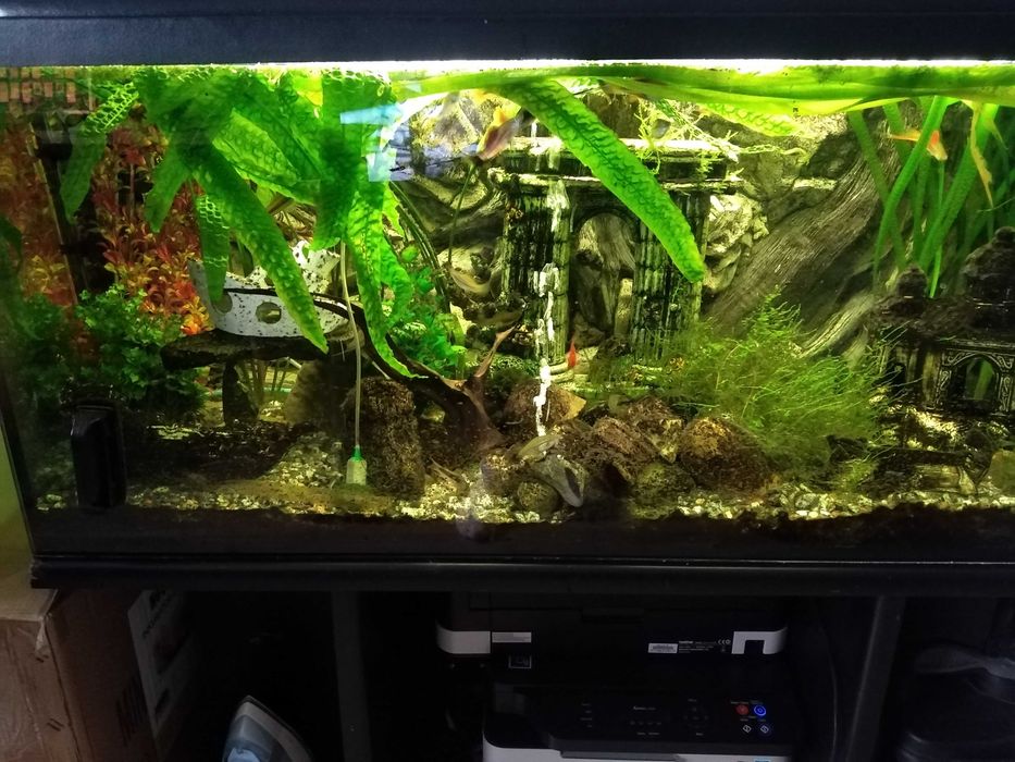 sprzedam akwarium 300l