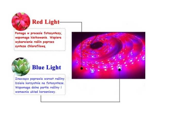 Lampa LED Grow 2×80 cm + zasilacz i uchwyty