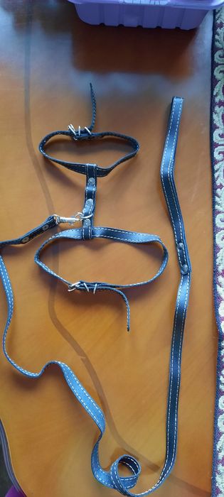 Шлея Collar д/кошек,собак,н/кожа(новое)