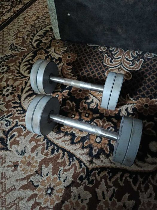 Продам гантелі по 16 кг (метал), пара