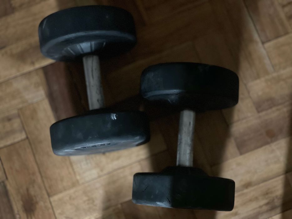 Halteres de 22,5kg445293316822814721
