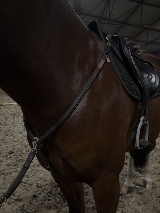 Napierśnik prestige