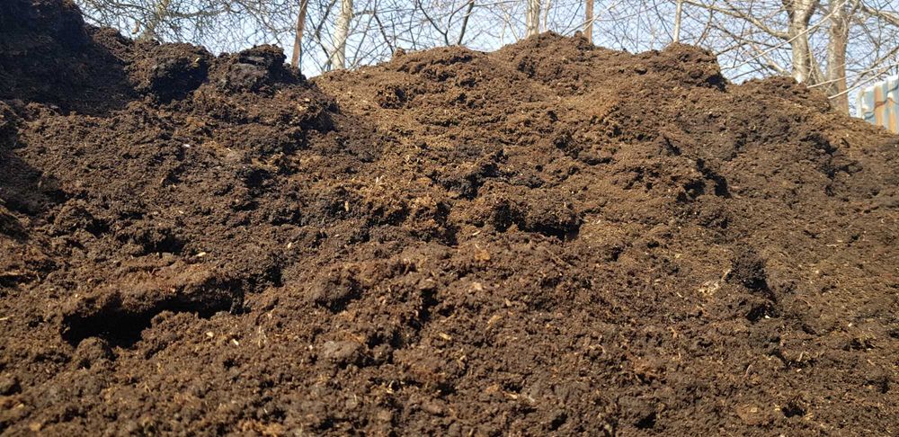 torf, ziemia torfowa