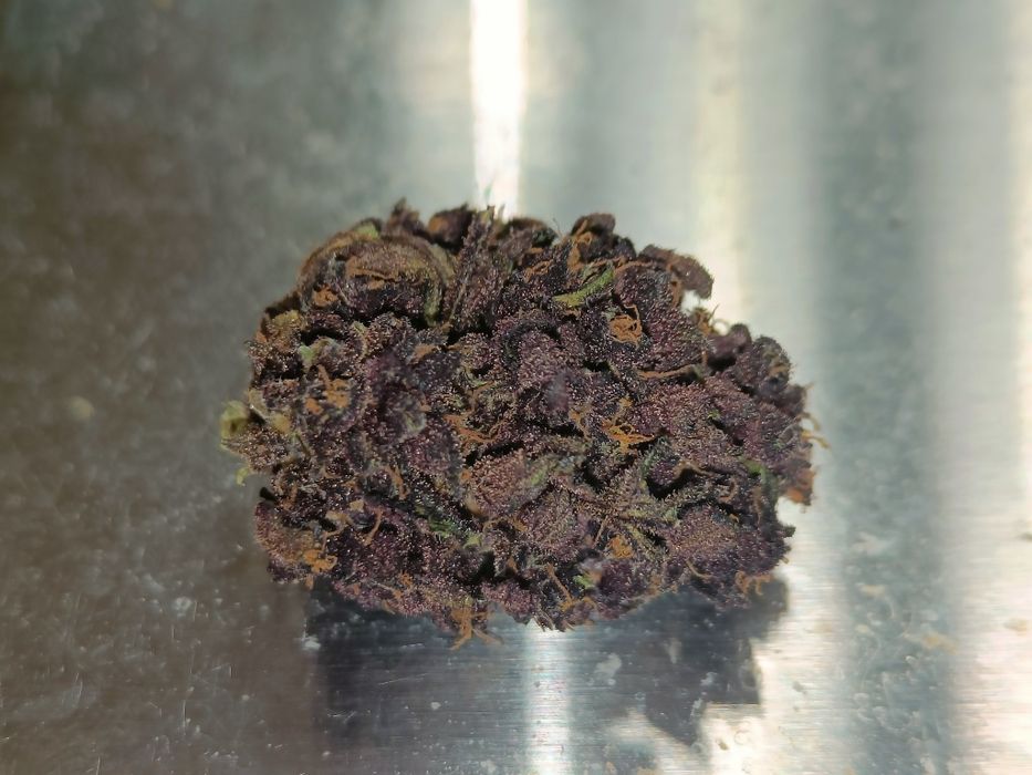 10 gramów Black Devil CBD susz