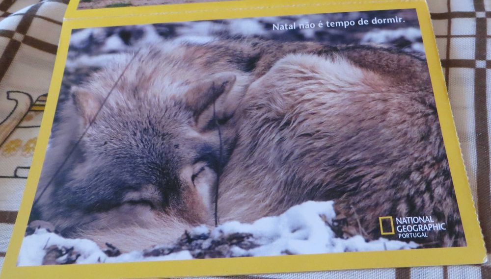 Fichas Animais e todas as sua Características 12 Unidades + Oferta DVD