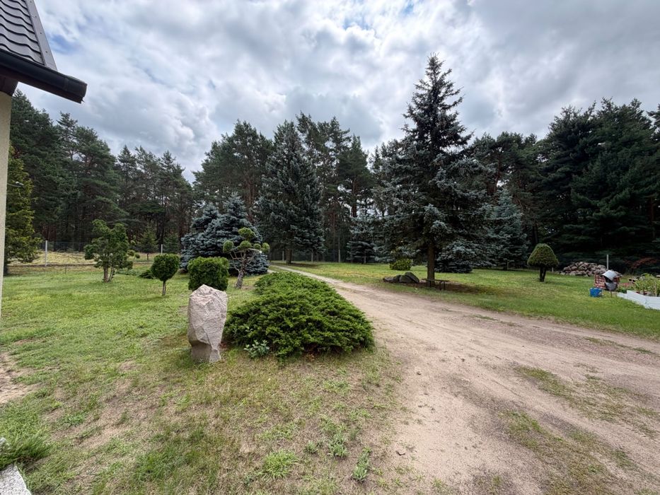 Zdjęcie 4