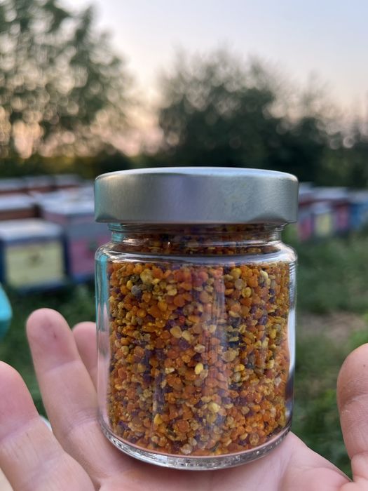 Пилок квітковий бджолиний весна-літо 2025