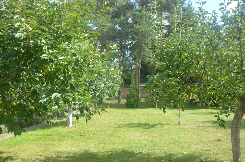 Оренда будинку.Софіївська Борщагівка.Без%