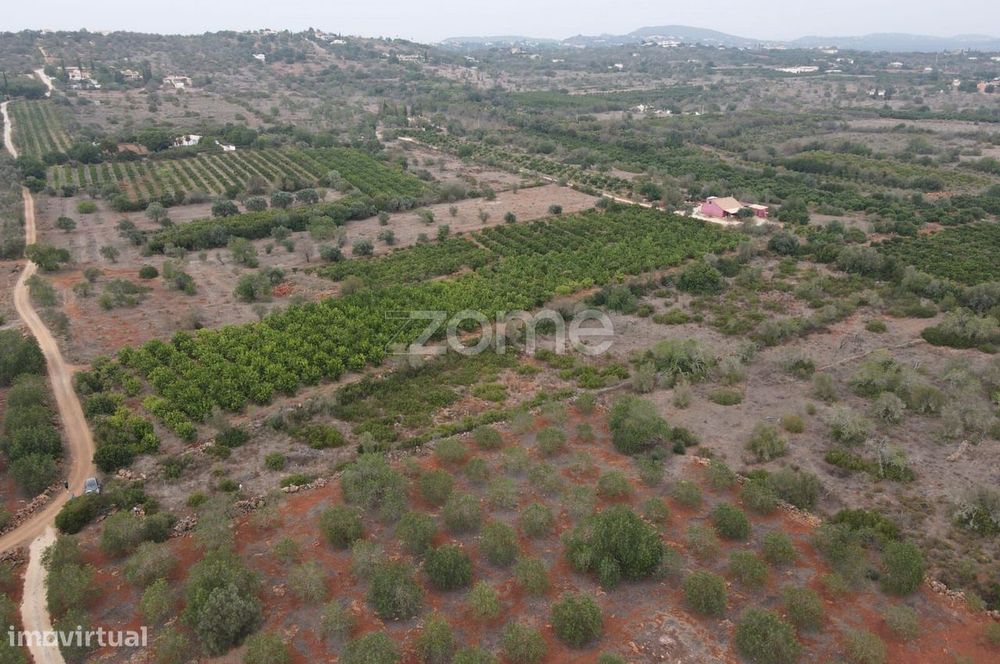 Rustic Land in Messines, Carrascal, 6,080 m²
