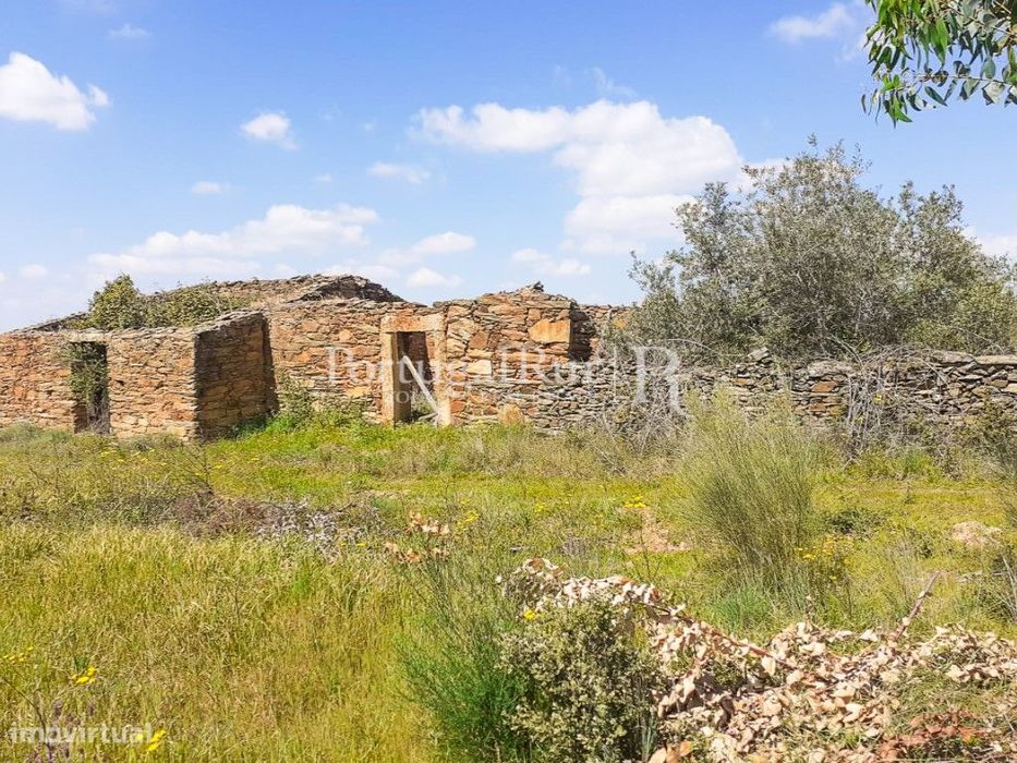 Propriedade com 3,5 ha e construções para recuperar