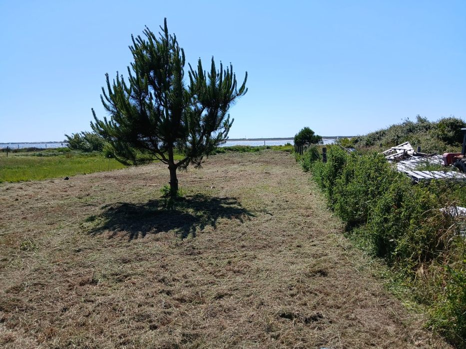 Limpeza de terrenos