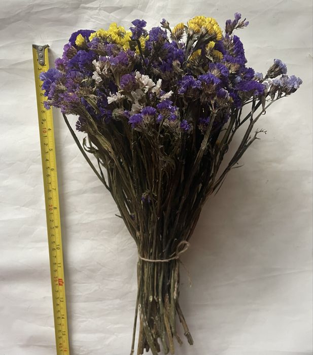 Букет сухоцвіт зі статиці (кермек)