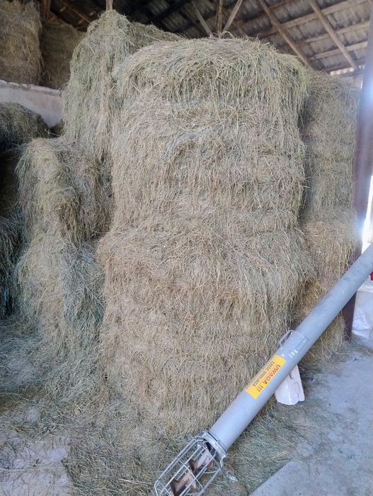 Sprzedam siano sezon 2025