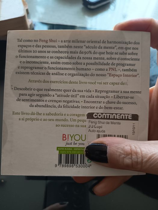 Feng Shui da mente