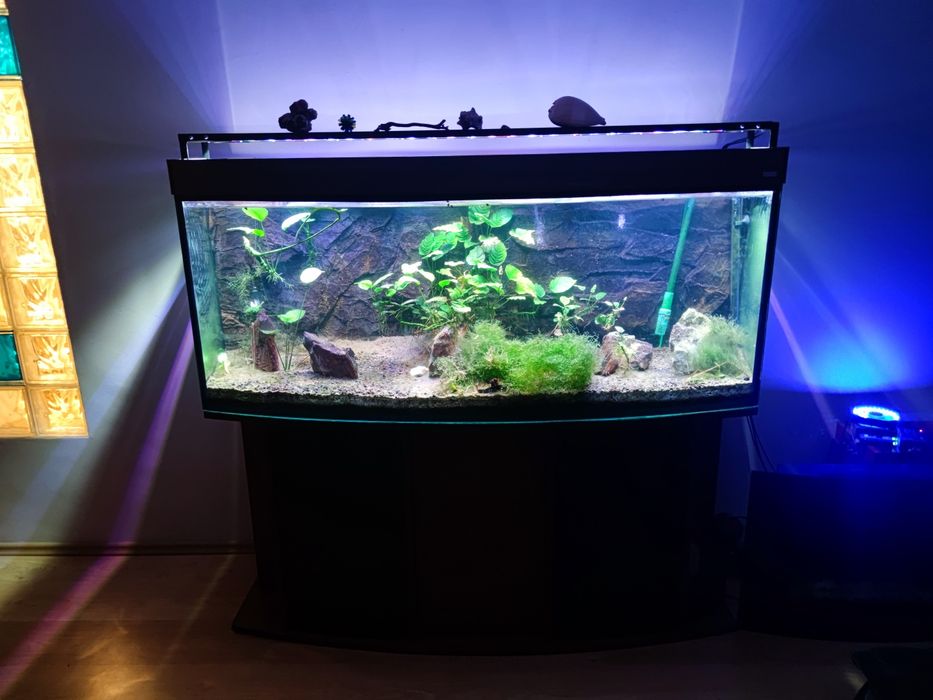 Szafka pod akwarium 500 litrów 150 cm