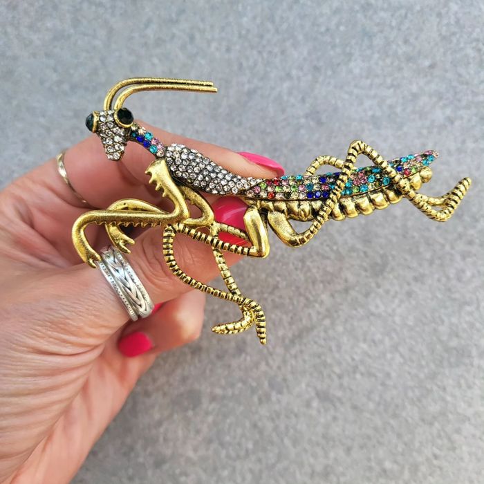 Duża broszka konik polny