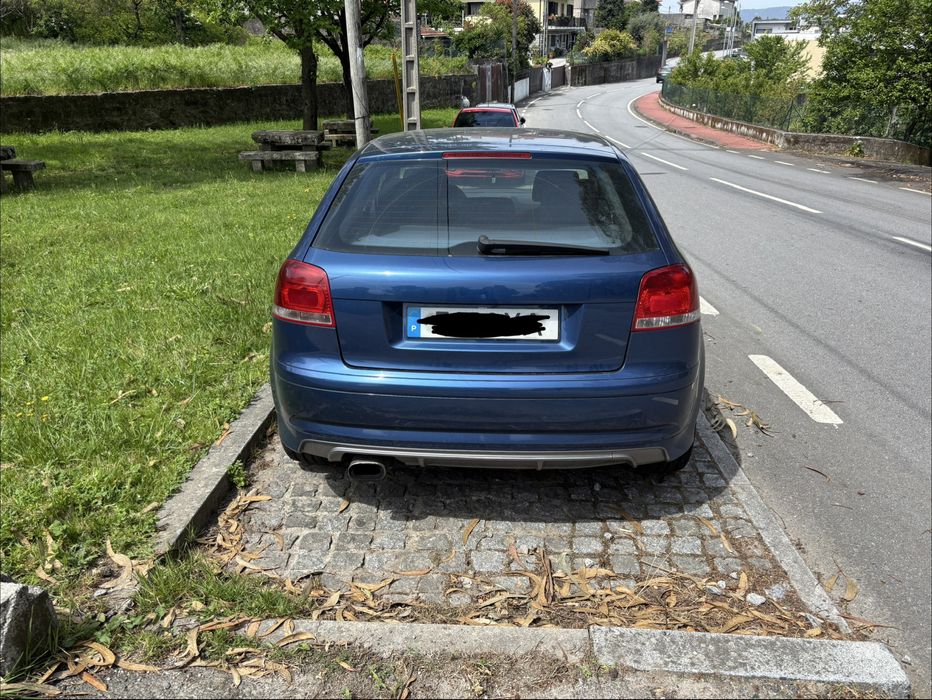 Audi A3 8P 2.0 TDI