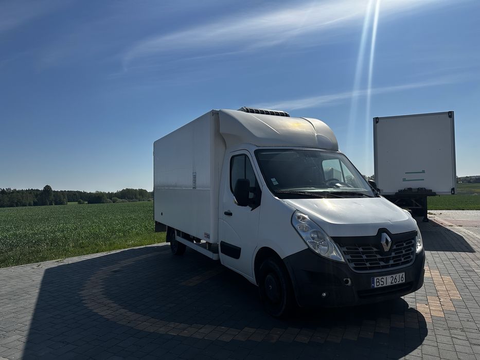 Renault Master do transportu piskląt
