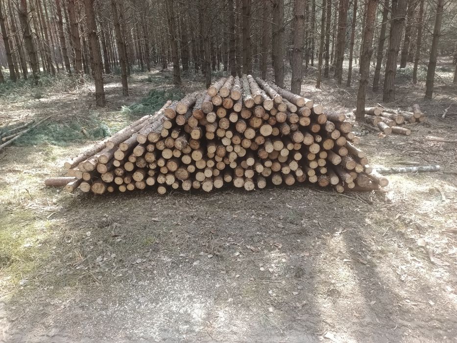 Stemple budowlane  3m