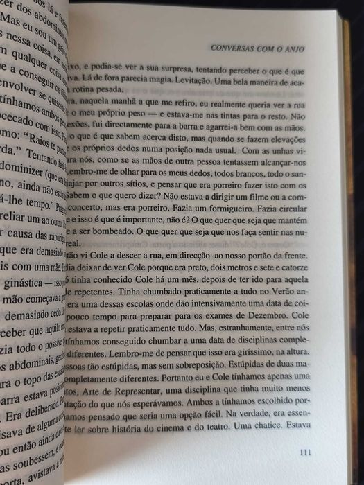 Livro - Conversas Com o Anjo (ctt editorial grátis)