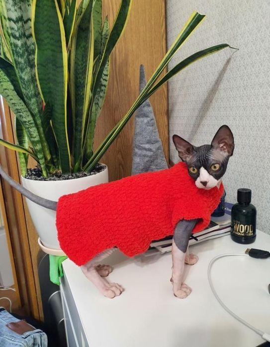 Одежда на кошек, собак,, сфинксов