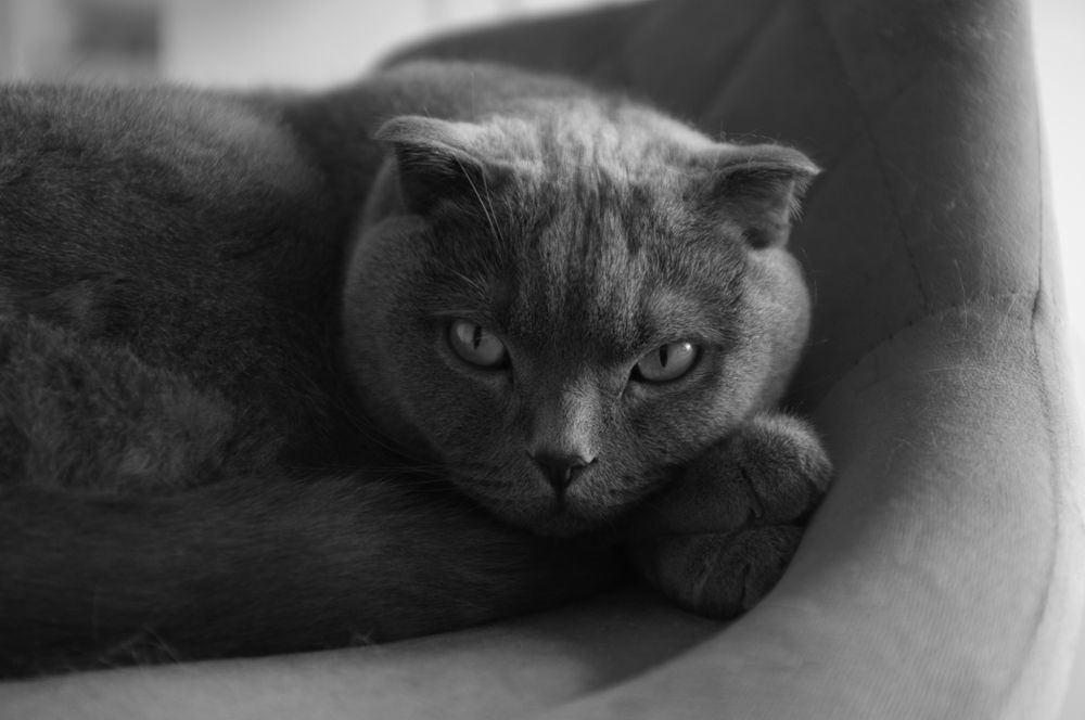 FUJIFILM X100  100% SPRAWNY