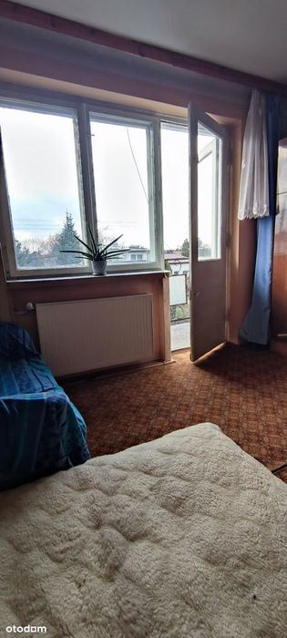 Dom z ogródkiem w centrum miasta.