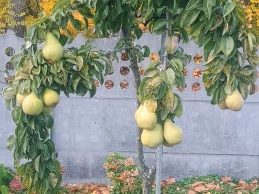 Sprzedam nieruchomość