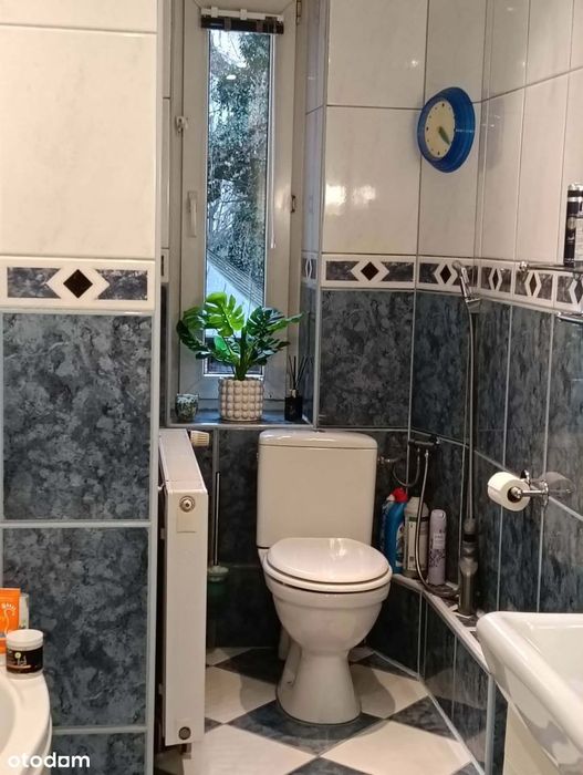3 pokojowe mieszkanie świetna lokazlizacja blisko uczelni