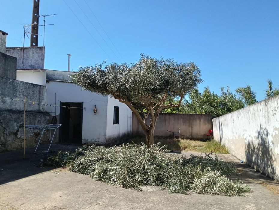 Prestação de serviços gerais