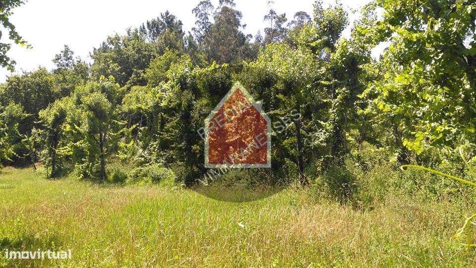 Quinta - Gominhães - 290.000€