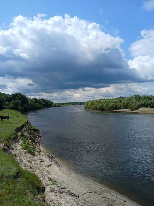 Садиба біля річки Десна. Село Лебедівка.