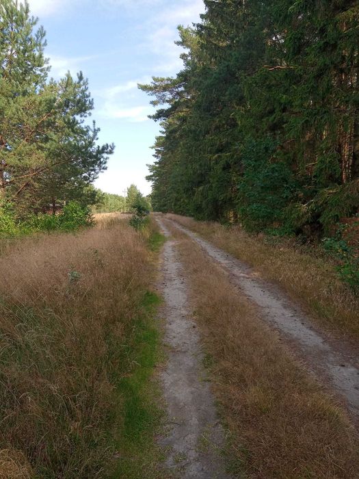 Działka nad morzem Smołdzino warunki zabudowy i woda i - More