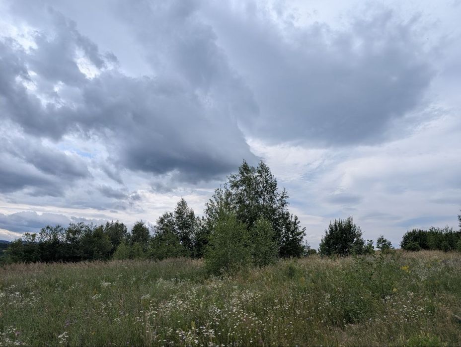 Продаж ділянки під будівництво в горах (Косівський р-н)