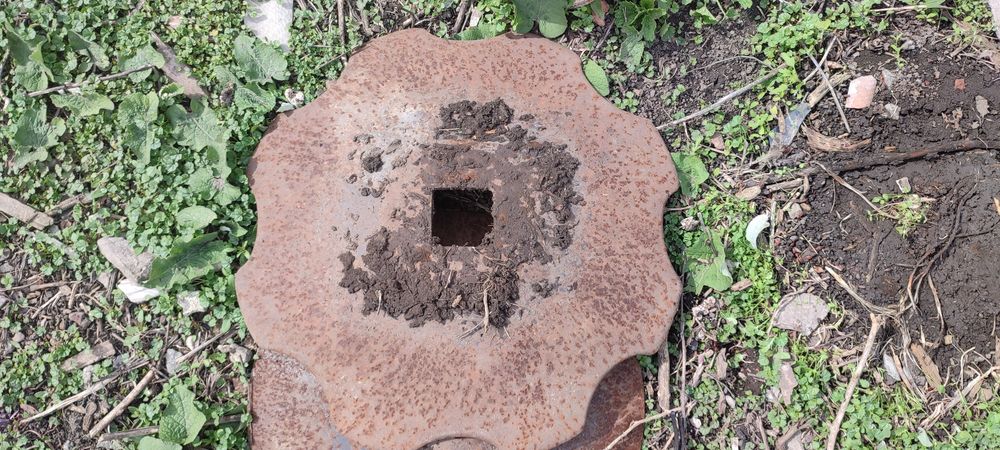 Диск бороны в нормальном состоянии ромашка