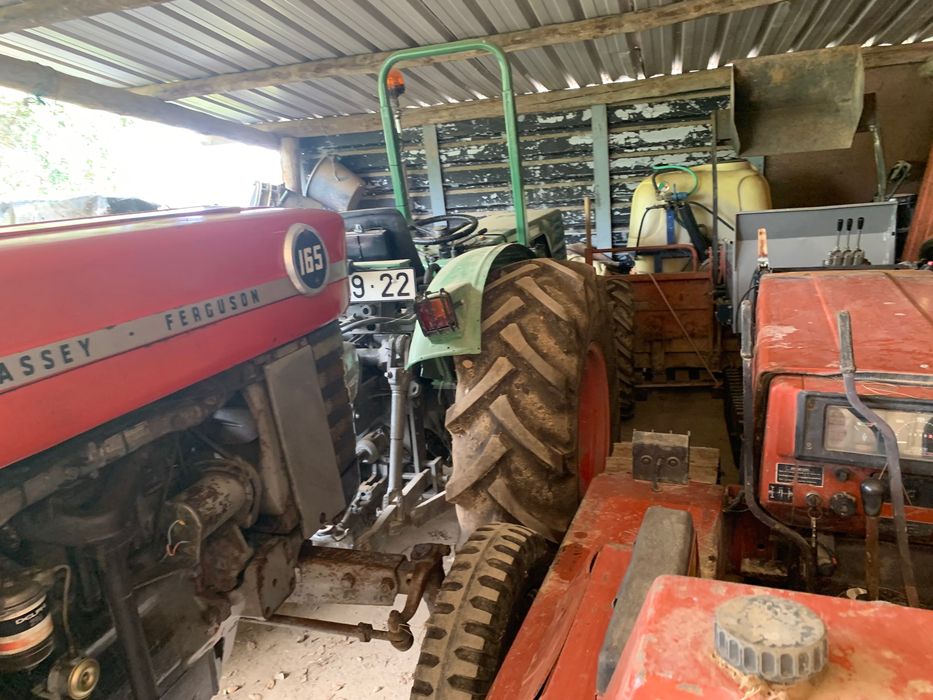 Massie Fergunsou 165 impecável Mafra