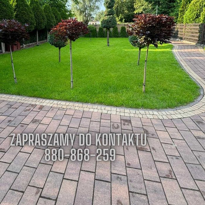 Usługi ogrodnicze , ogrodnik , pielęgnacja ogrodu ,przycinka żywopłotu