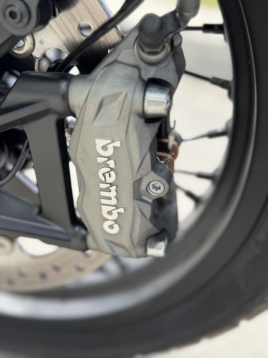 Ducati Scrambler 800 2024