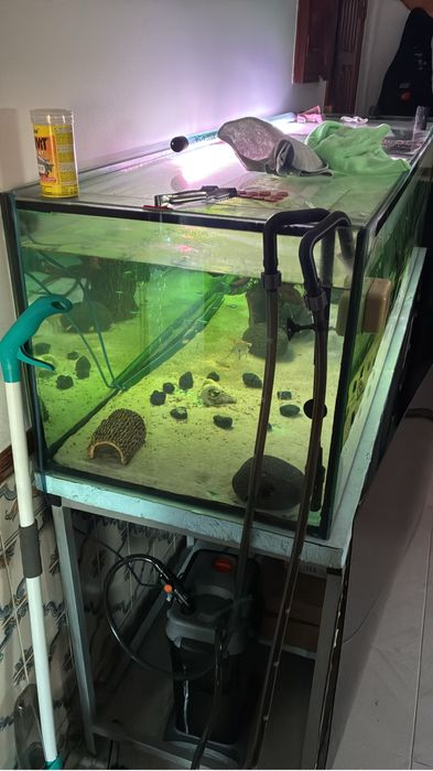Aquario estrutura e equipamentos
