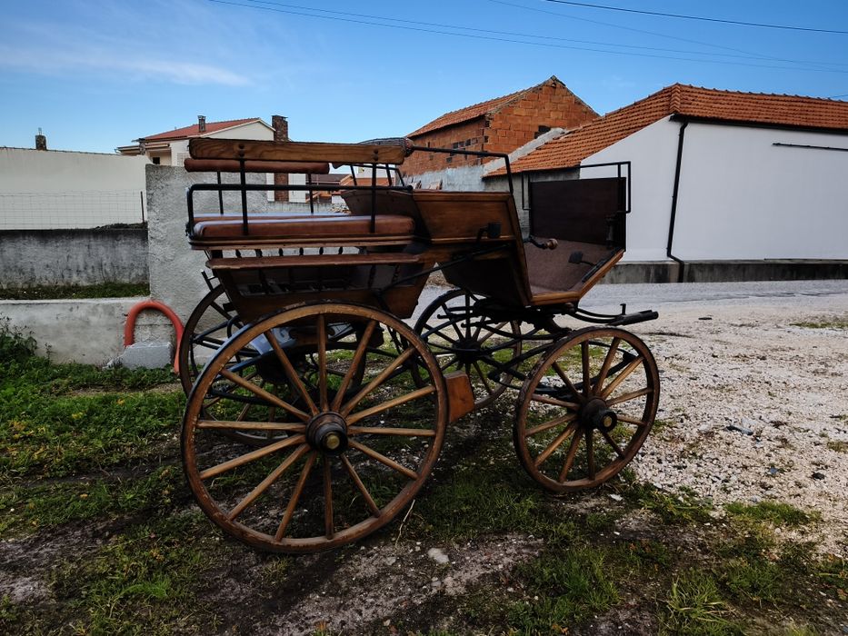Charrete para cavalos