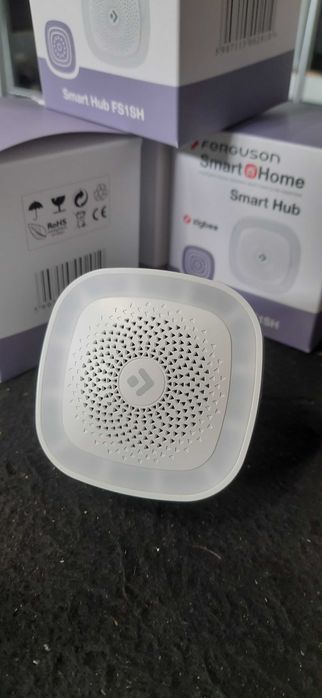 Centrala Smart Hub Ferguson FS1SH ZigBee