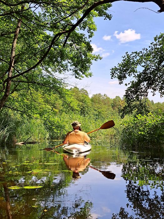 Domek nad jeziorem z linią brzegową i pomostem. Puszcza Barlinecka.