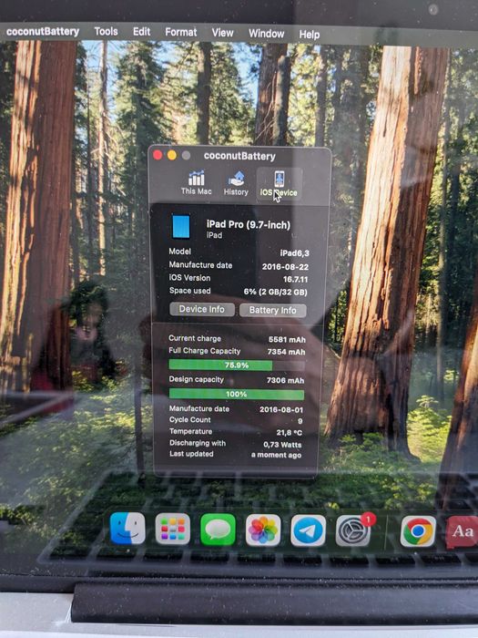 iPad Pro 9.7 на 32 GB #124