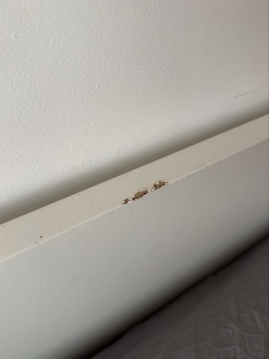 Sofá-cama retratil IKEA BRIMNES