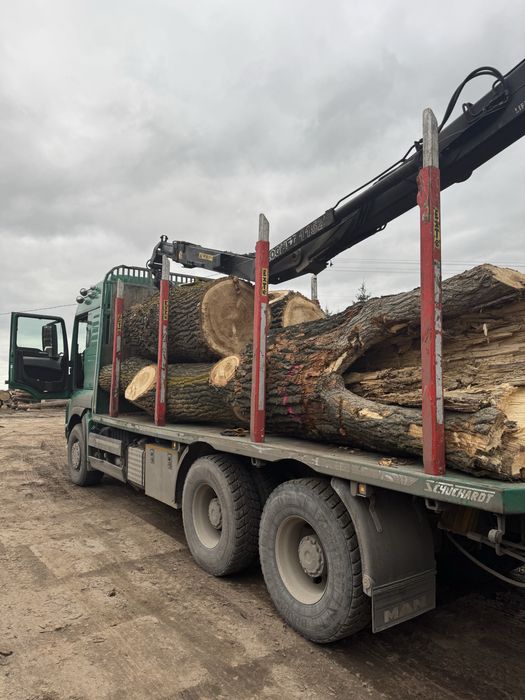 Skup drzewa tartacznego – MAZOWIECKIE