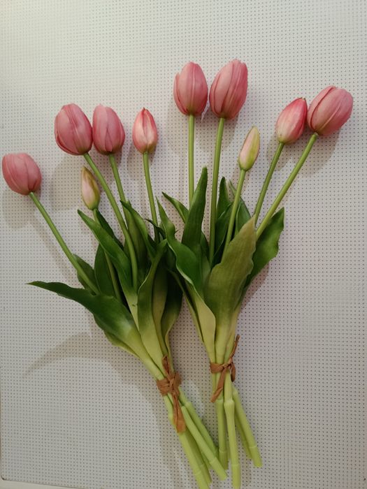 Гелеві рожеві тюльпани