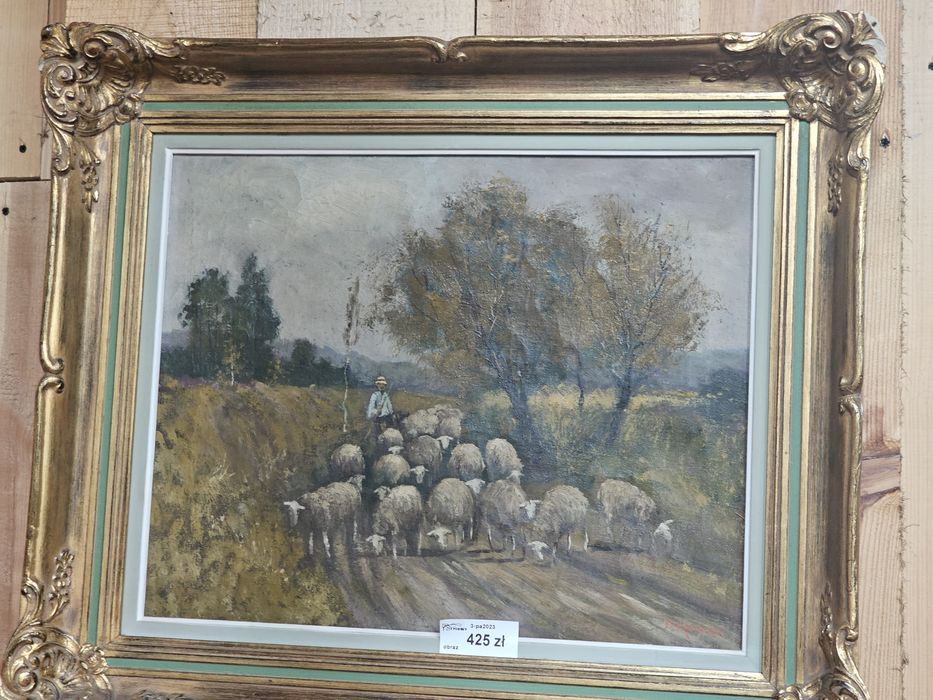 Obraz malowany na płótnie w złotej ramie owce #865  Stylowy Węgrów